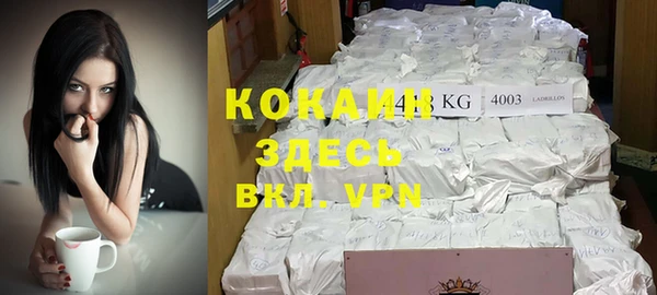 гидропоника Карпинск