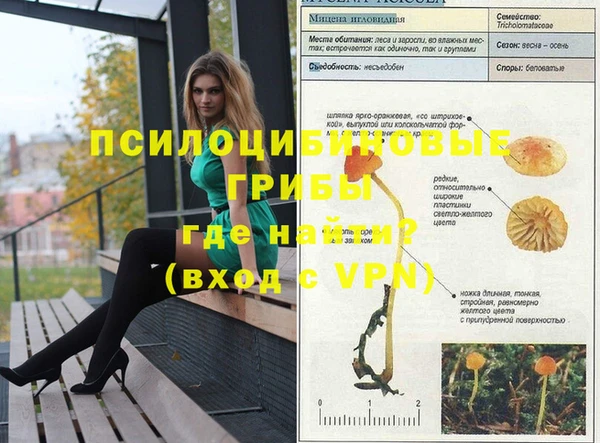 MDMA Premium VHQ Карталы