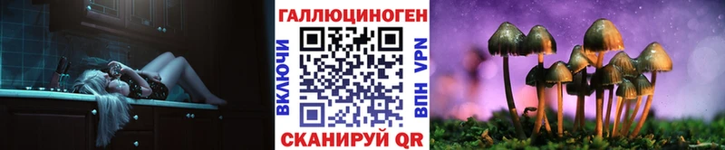 Псилоцибиновые грибы мицелий  Купить  Волосово 