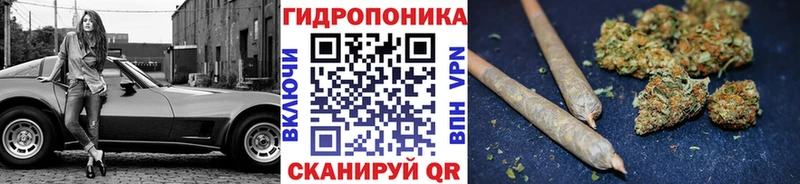 Шишки марихуана марихуана  Купить закладки  Волосово 